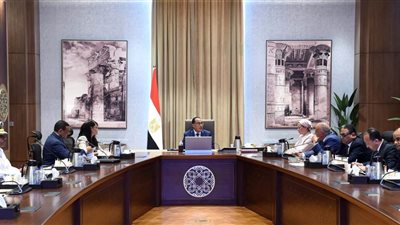 مدبولي: الدولة مستعدة لتقديم حزمة محفزات بشرط سرعة توطين صناعة السيارات وتشغيل المصانع