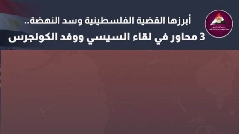 السيسي ووفد الكونجرس