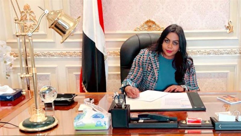 النائبة نيفين حمدي