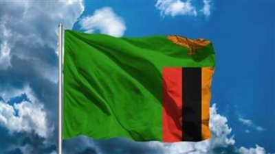 عاجل.. القضاء الزامبي يقضي بإطلاق سراح المصريين المحتجزين في قضية 