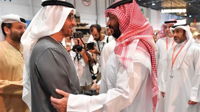 رئيس دولة الإمارات يلتقي وزيرَ الدفاع الكويتي