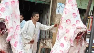 بسعر 260 جنيها.. منافذ جديدة لبيع اللحوم والسلع الغذائية بأسعار مخفضة بالمنيا