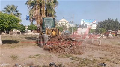 إزالة 11 حالة تعد واستمرار حملات النظافة وزراعة الأشجار وأعمال التطهير