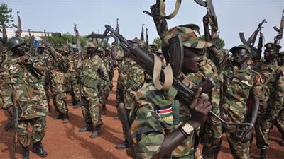 جيشا أوغندا والكونغو الديمقراطية يتعهدان بمواصلة عملياتهما ضد مليشيات 