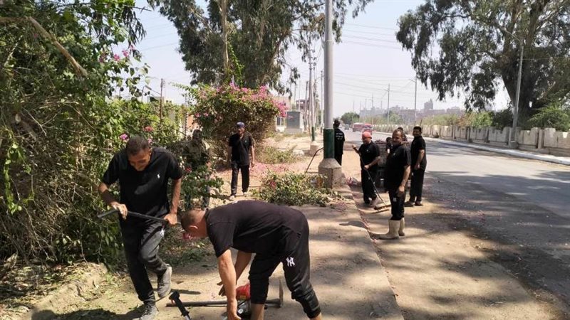 حملات للنظافة والتجميل