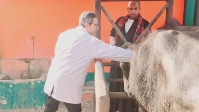 تحصين الماشية ضد