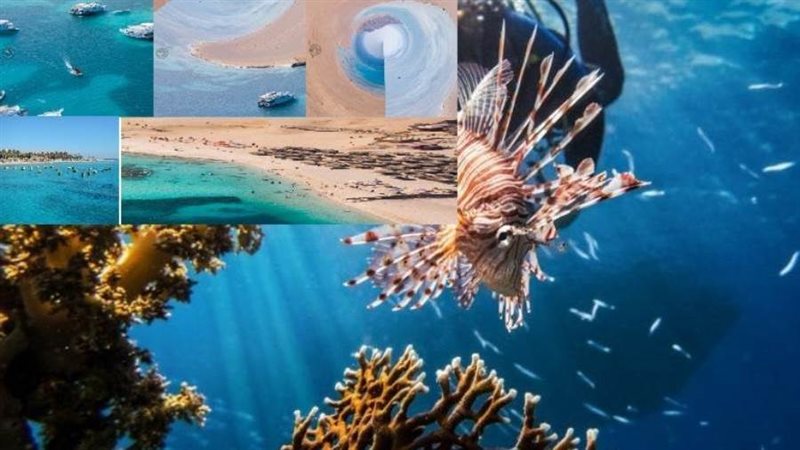 شواطىء الغردقة