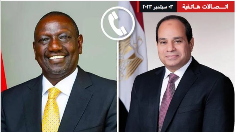 الرئيس السيسي يتلقى