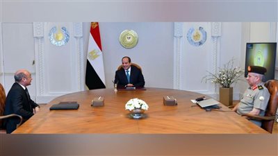 عاجل.. الرئيس السيسي يوجه بتكامل إنشاء مدينة العدالة مع الجهود الحالية للتطوير الشامل لمنظومة التقاضي