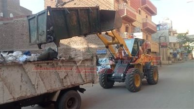 حملة موسعة لرفع تراكمات القمامة وتهذيب الأشجار بكفر الشيخ