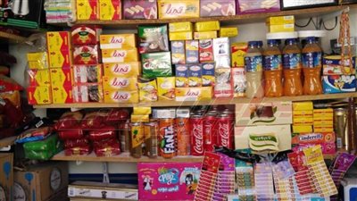 69 مشروعًا بتكلفة مليون و338 ألف جنيه بعدد من قرى كفر الشيخ   