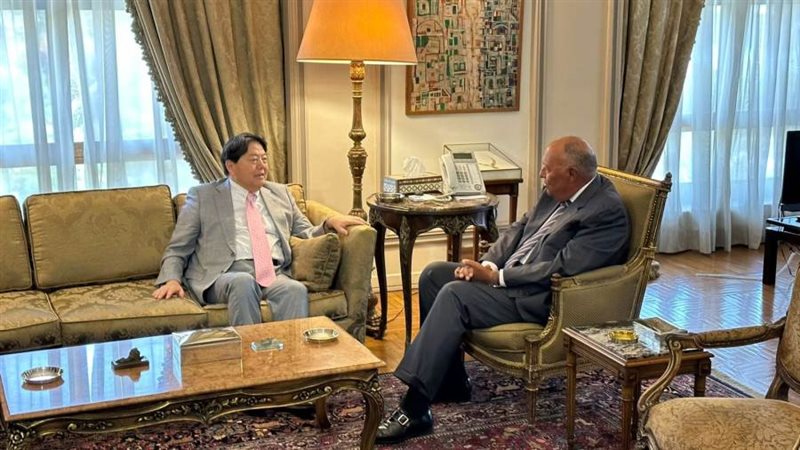 سامح شكري وننظيره