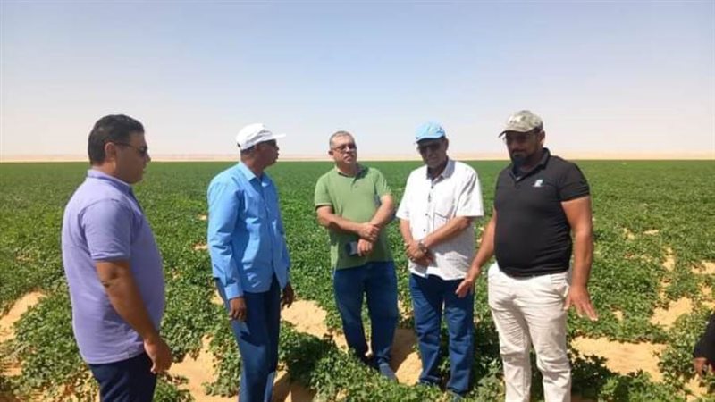 وكيل وزارة الزراعة