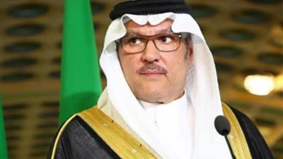 سفير المملكة لدى مصر يستقبل نظيره السنغافوري