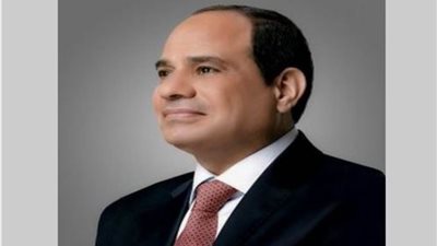 عاجل.. الرئيس السيسي يصل نيودلهي للمشاركة في قمة مجموعة العشرين