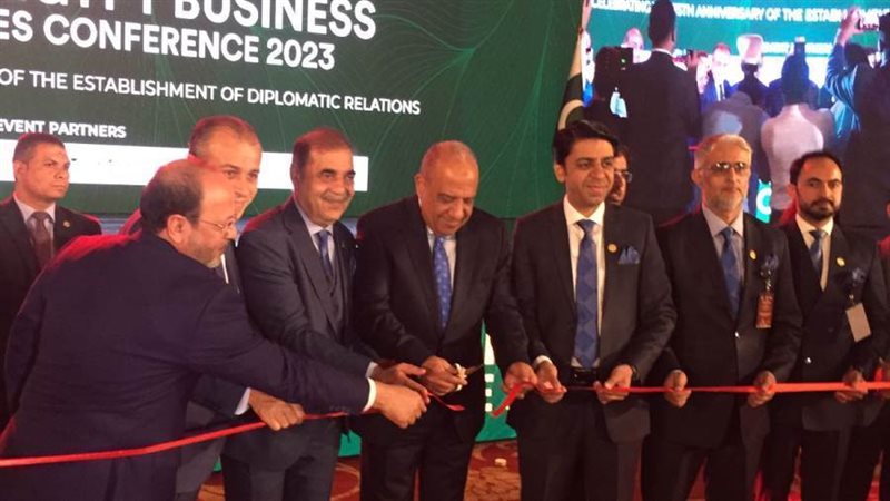 وزير قطاع الأعمال