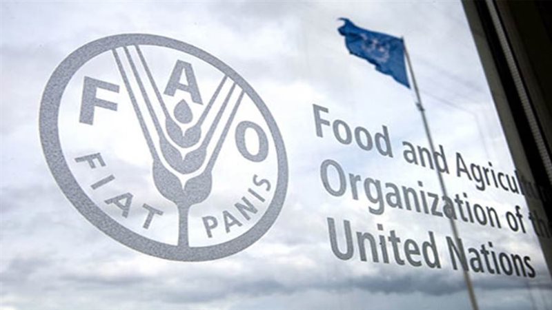 منظمة الأغذية والزراعة