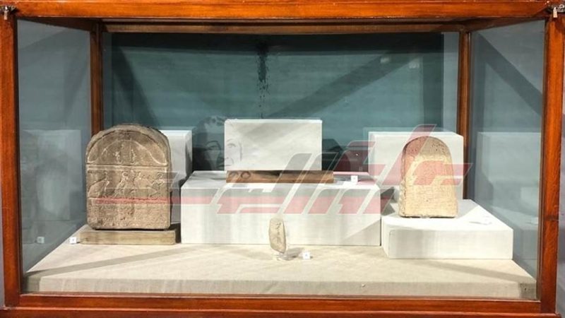 المعرض الجديد