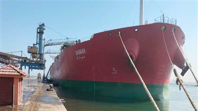 ميناء الإسكندرية يستقبل سفينة عملاقة تحمل 100 ألف طن قمح