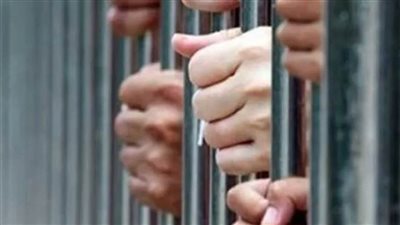 المشدد لـ4 متهمين بالتسبب في عاهة لسيدة واستعراض القوة بطوخ