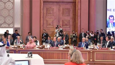 عضو بالشيوخ: كلمة الرئيس السيسي في قمة العشرين شاملة وكاشفة للتحديات التي تواجه العالم