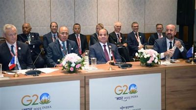 تفاصيل زيارة الرئيس السيسي فى الهند للمشاركة بقمة مجموعة العشرين