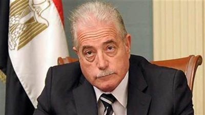 محافظ جنوب سيناء يبحث مع 