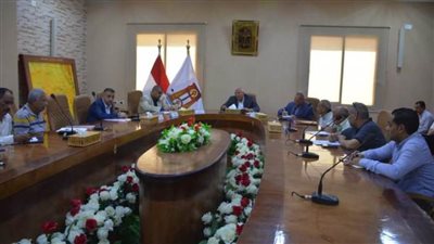 عبر الفيديو كونفرانس.. محافظ الوادي الجديد يعقد اجتماعًا مع رؤساء المراكز