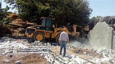 إزالة 59 تعدٍ على الأراضي الزراعية ببني سويف 