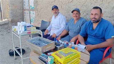 ندوات إرشادية وقوافل طبية بيطرية للتعريف بالأمراض الوبائية التى تصيب الثروة الحيوانية بالوادي الجديد