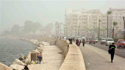 عاجل.. انتشار الأتربة والرمال بسماء الإسكندرية تأثرًا بالعاصفة 