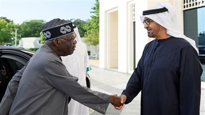 رئيسا الإمارات ونيجيريا يبحثان سبل تعزيز التعاون الثنائي