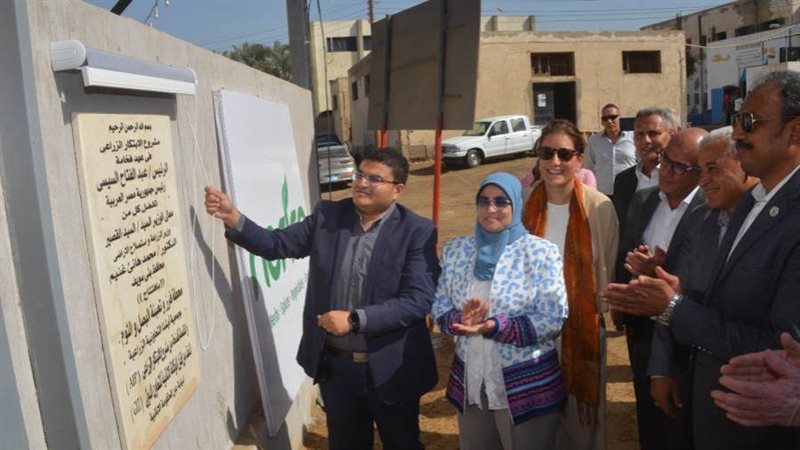 افتتاح تعبئة الصل