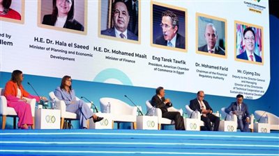 وزير المالية : نعمل على حزمة متكاملة من الإجراءات لدفع جهود التحول إلى الاقتصاد الأخضر 