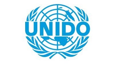 مدير اليونيدو: هناك العديد من فرص الاستثمار الواعدة في مصر في مجال الطاقة المتجددة