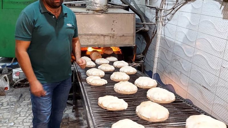 ضبط 63 عبوة مبيدات