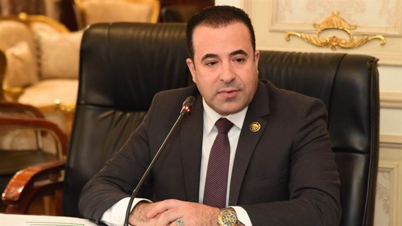 النائب أحمد بدوى