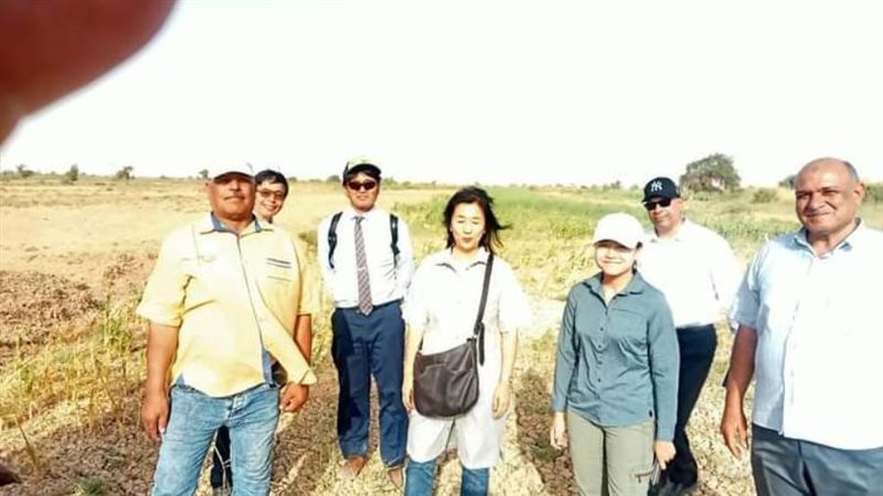 جايكا اليابانية تبحث