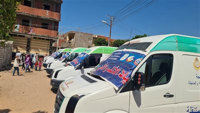 الكشف على ١١٣٥ مواطنًا في قافلة طبية بقرية العزيمة بالبحيرة