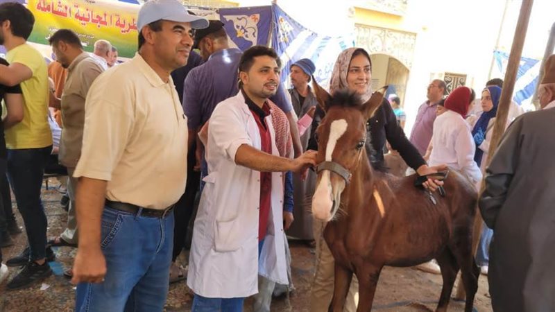 القافلة البيطرية