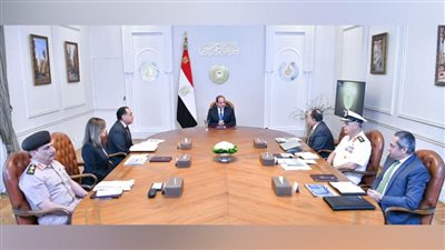 عاجل.. السيسي يوجه بتعزيز التعاون مع الخبرات العالمية العريقة لإدارة وتشغيل مدينة الفنون بالعاصمة الجديدة