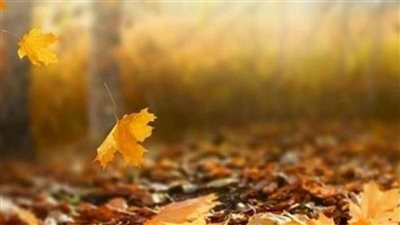  معهد الفلك: بدء فصل الخريف السبت المقبل