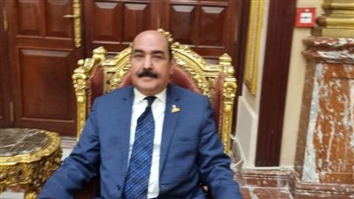 عضو بالشيوخ: قرارات الرئيس السيسي تسهم في توفير الحماية الاجتماعية لمحدودي الدخل