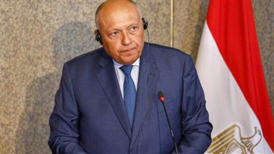 شكري يؤكد لنظيره البريطاني على تاريخية واستراتيجية العلاقات