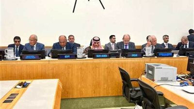 شكري: مرجعيات الشرعية الدولية و