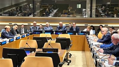 شكري يترأس الاجتماع الوزاري التشاوري العربي على هامش أعمال الجمعية العامة للأمم المتحدة