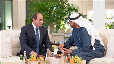 محمد بن زايد: العلاقات 