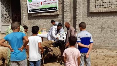 غدًا الأربعاء.. قافلة بيطرية مجانية بكوم اللوفي بالمنيا