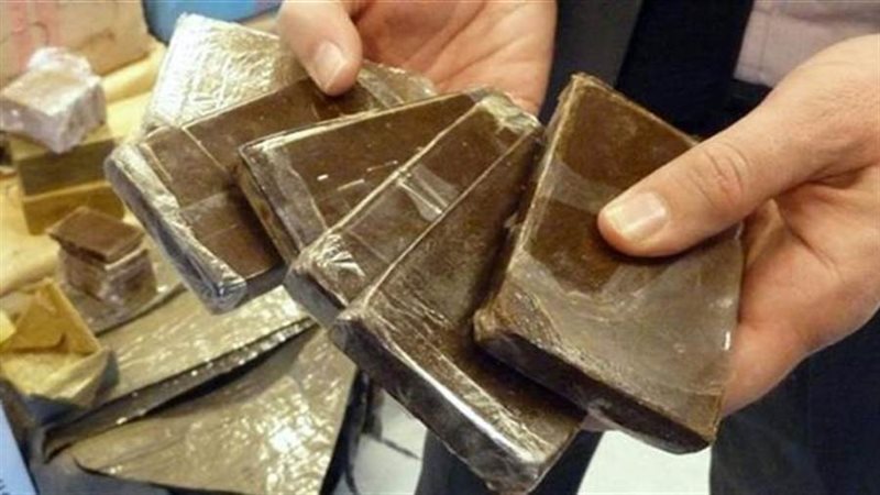 مخدر الحشيش