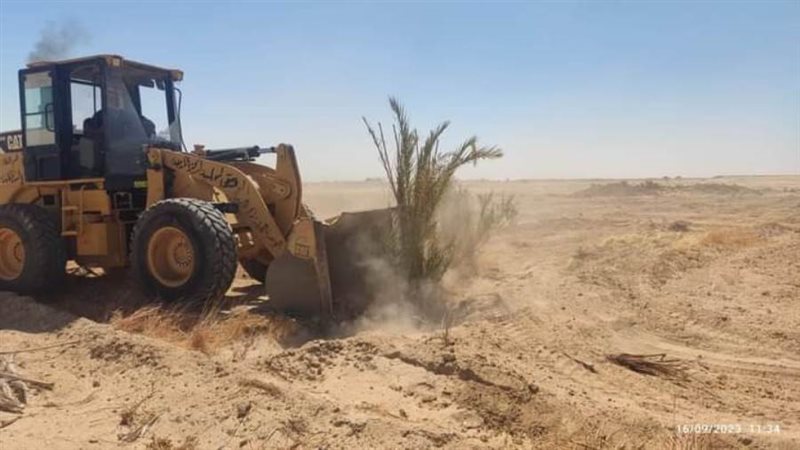 إزالة زراعات فى المهد